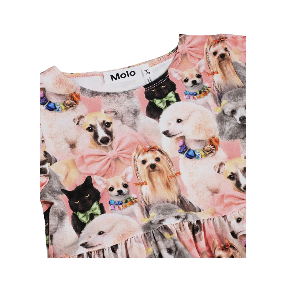 Dress Camie Embellished