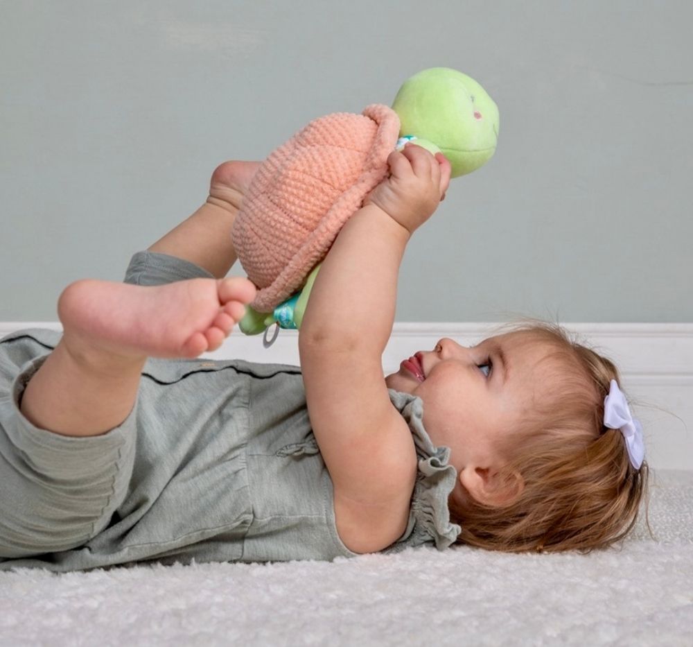 Taggies Tippy Turtle Soft Toy