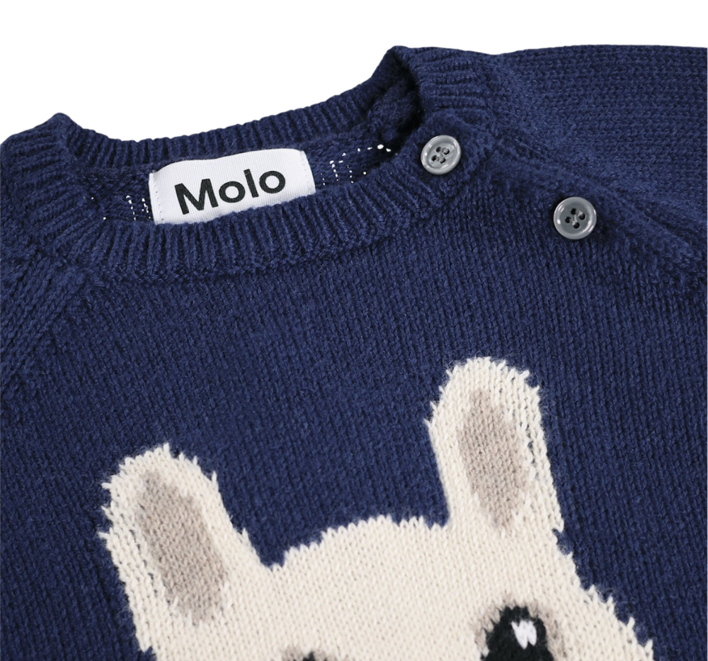 Sweatshirt & Soft Pants Bunny Infinity