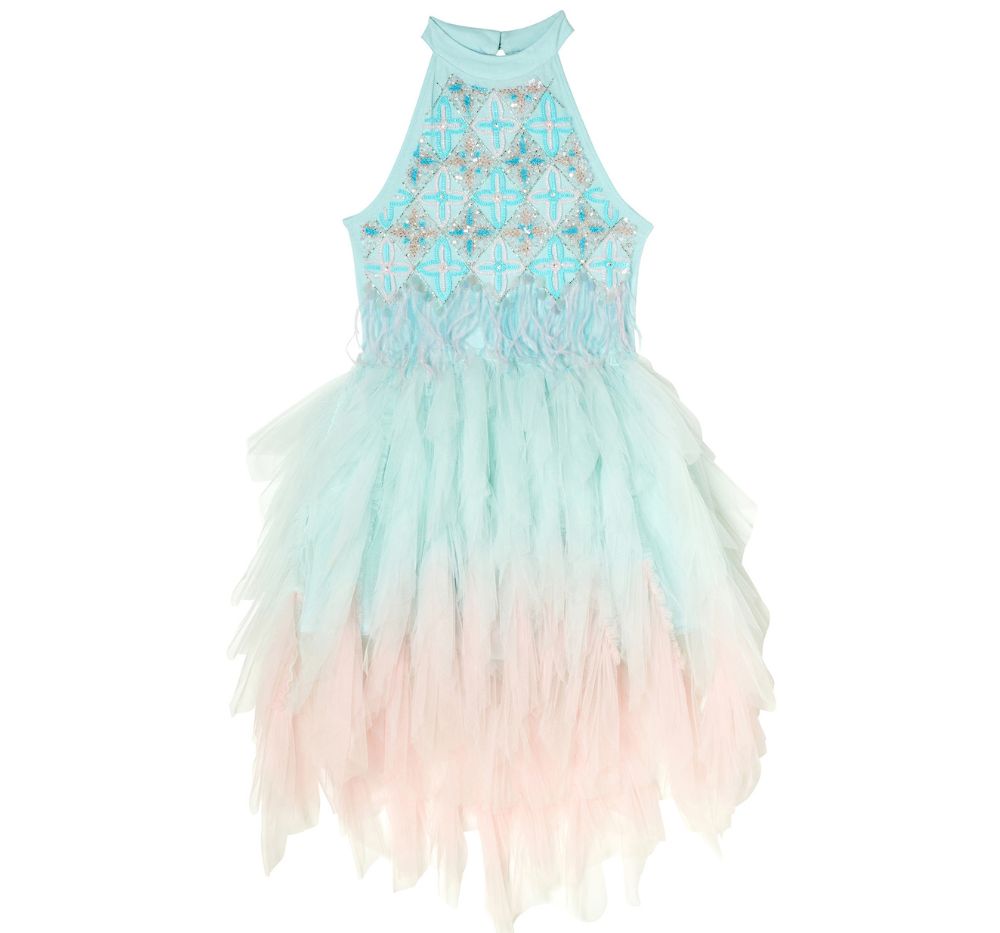 Stardom Tutu Dress