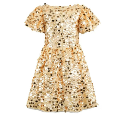 Sweet Shimmer Party Dress Golden Wishes