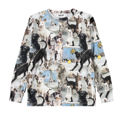 T-shirt Long Sleeve Rill Curios Dog