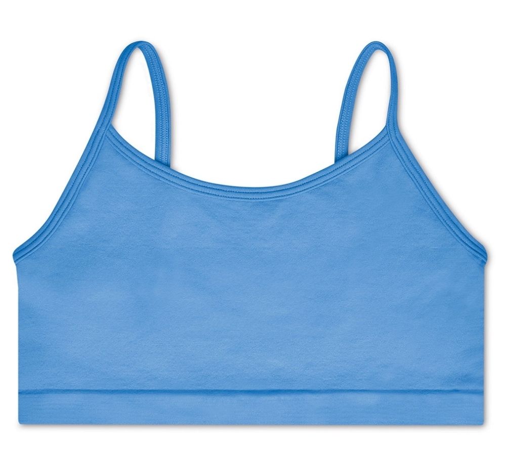 Bright Blue Bralette