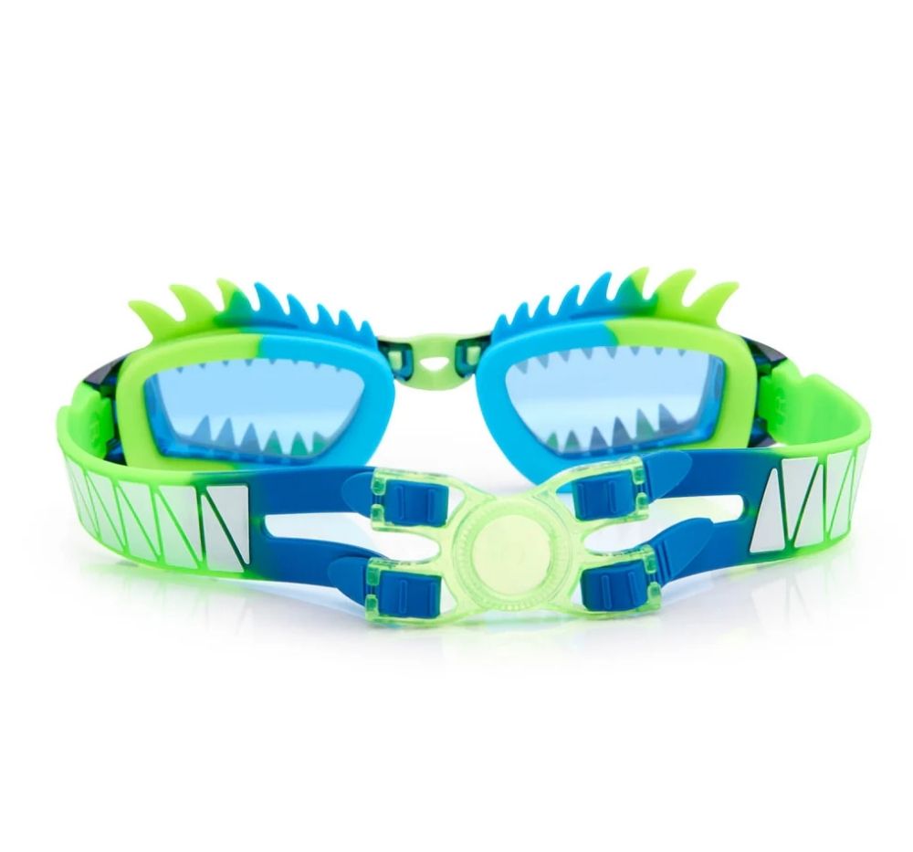 Draco Swim Googles Seadragon