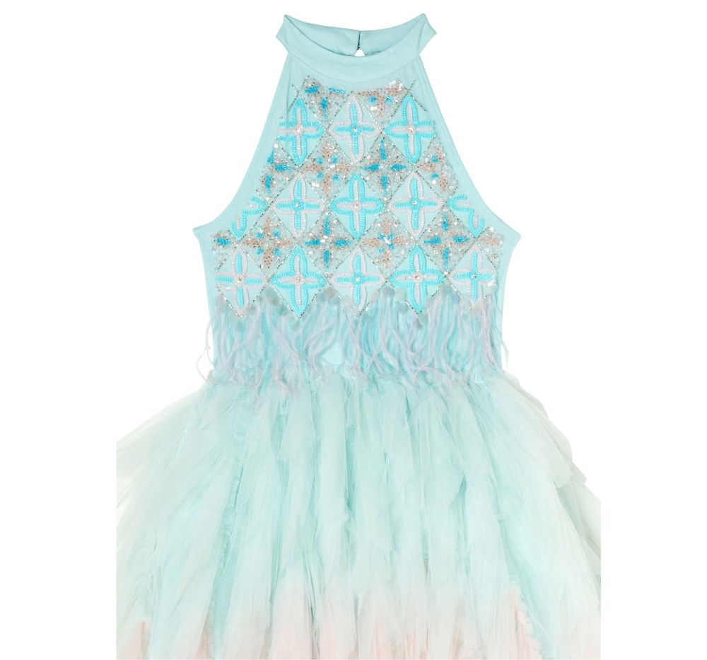 Stardom Tutu Dress