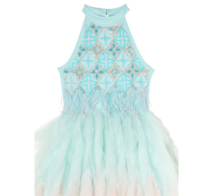 Stardom Tutu Dress