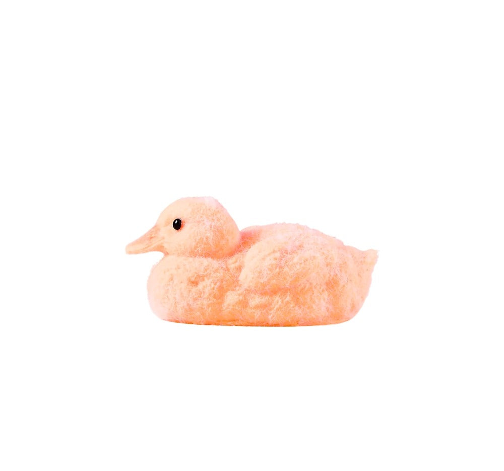 Taba-licious Duck Orange