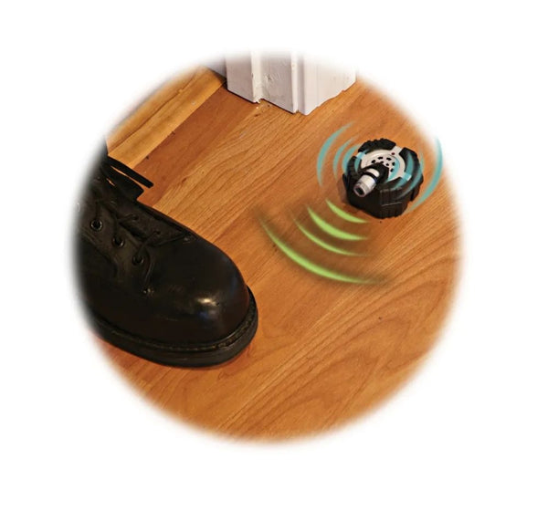 Micro Motion Alarm