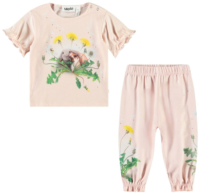 Rabbit Friends T-shirts & Dandelion Garden SoftPants