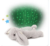 Dream Buddies Bennie Bunny