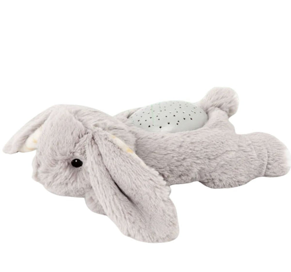 Dream Buddies Bennie Bunny