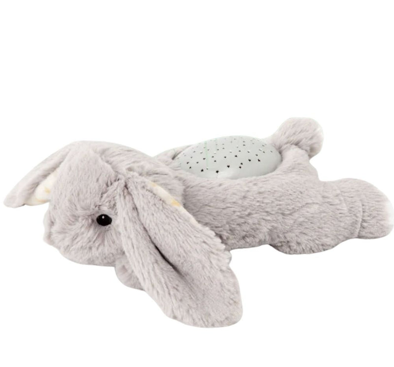 Dream Buddies Bennie Bunny