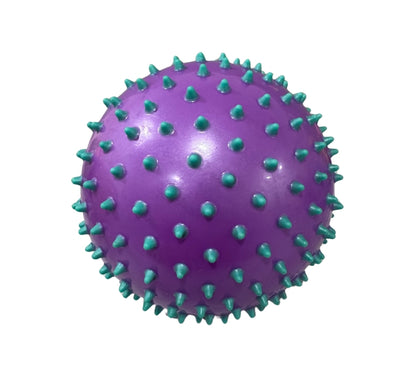 Jelly Ball 6 Purple/Aqua
