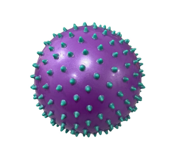Jelly Ball 6 Purple/Aqua