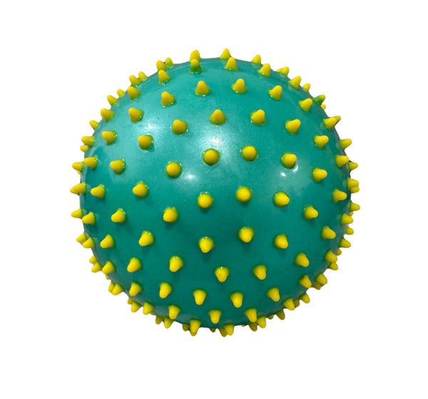 Pelota Aqua/Yellow