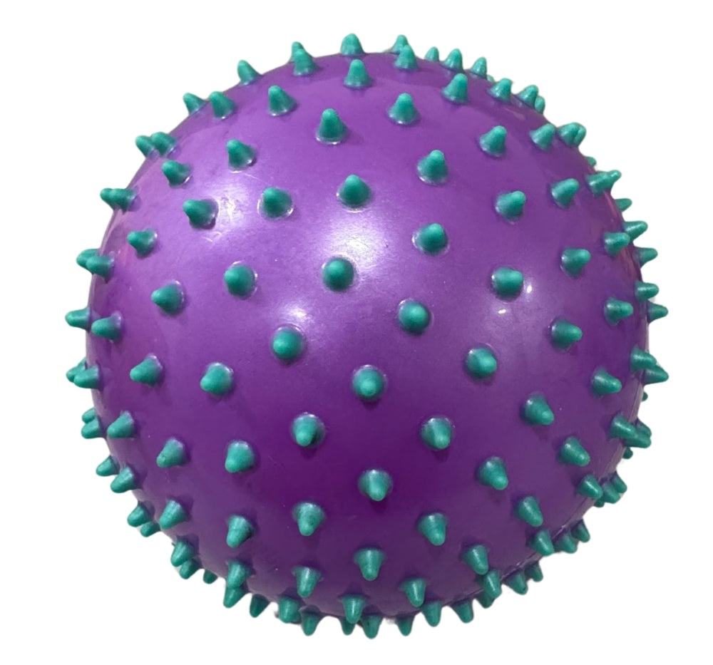Jelly Ball 8 Purple/Aqua