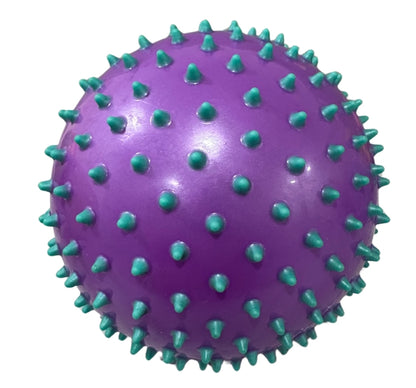 Jelly Ball 8 Purple/Aqua