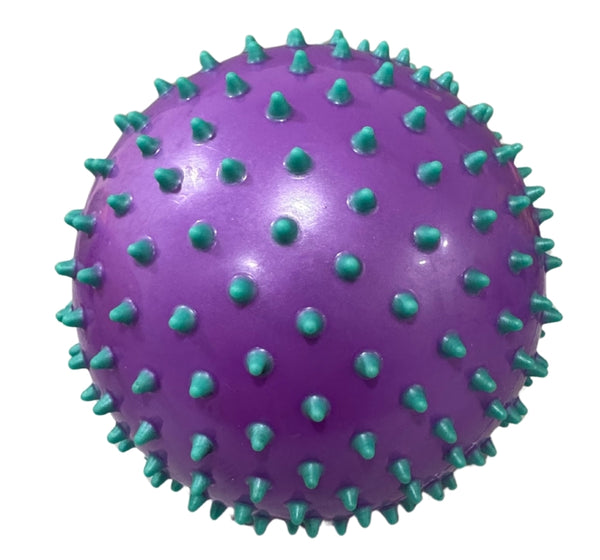 Pelota 8 Purple/Aqua