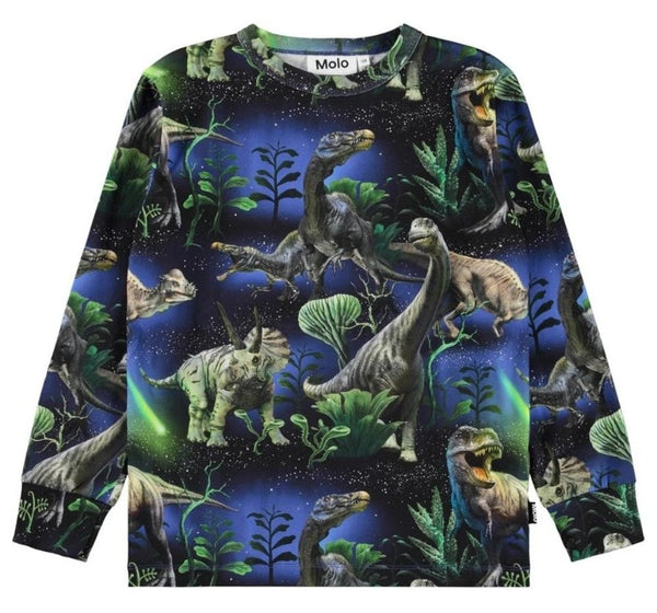 Playera Manga Larga Dinorama
