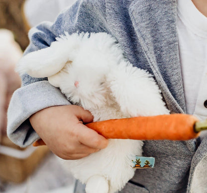 Wee Ittybit Bunny