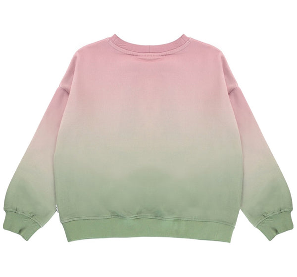 Sudadera Corazones Rosa/Verde - Molo