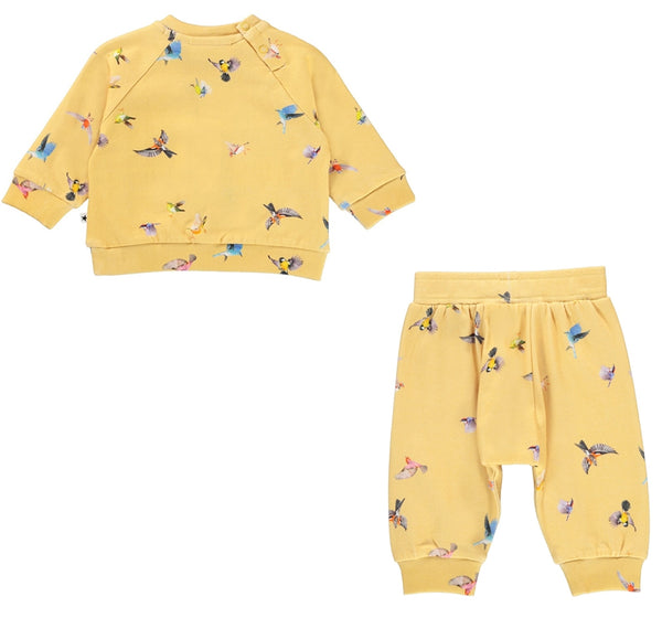 Conjunto de Sudadera y Pants Pajaritos-Molo