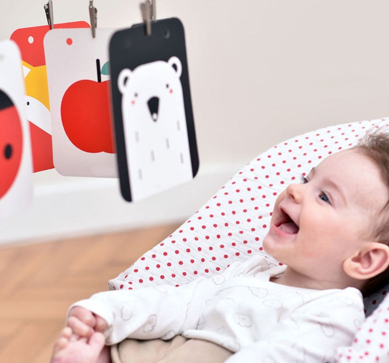 High Contrast Baby Pack 0-3-6M